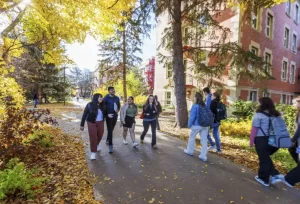 Big News for International Students in 2026: Canada Locks In PGWP-Eligible Fields of Study!